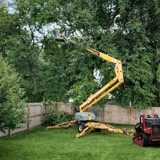 Best Lawn Pest Prevention  in Van, TX